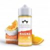 Scandal Flavors Magna 24/120ml