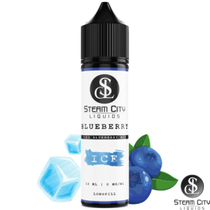 Steam City Flavour Shot Blueberry Ice 12/60ml