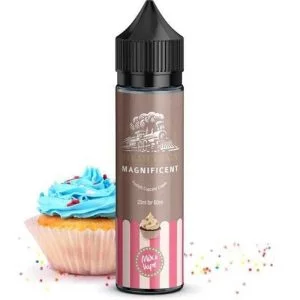 Steam Train – Magnificent 20/60ml