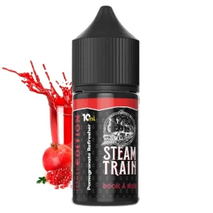 Steam Train POD Edition Book a Ride 10/30ml