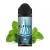 E-Cig Glacial Mint SNV 30ml/120ml