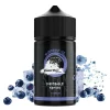 Terror Train Disposable Edition  Blueberry Ice 25/75ml