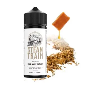 Steam Train One Way Ticket 24/120ml